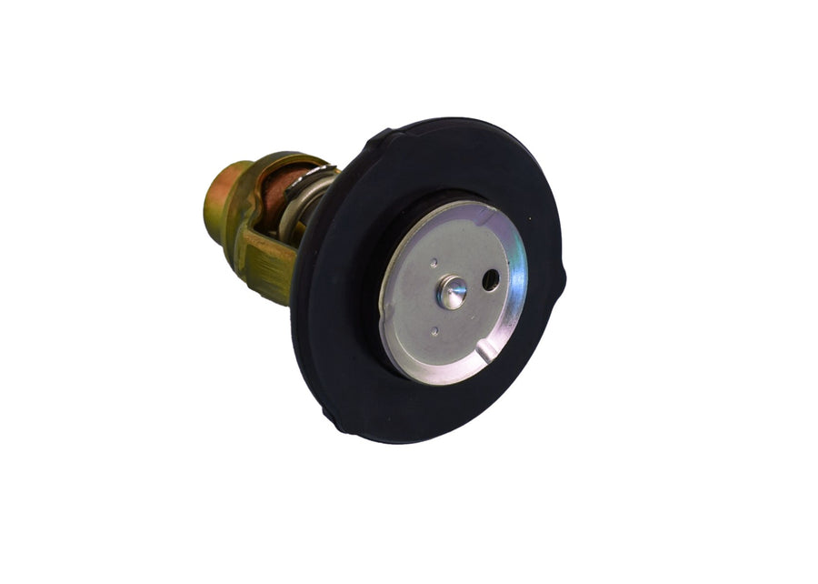 Yamaha 6GR124110000 Thermostat